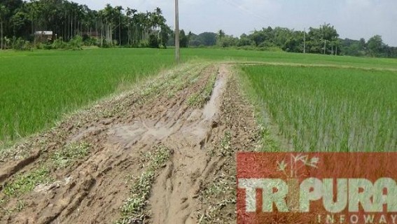 Deplorable road condition at Kamalpur: Panchayat authority still preparing to plan